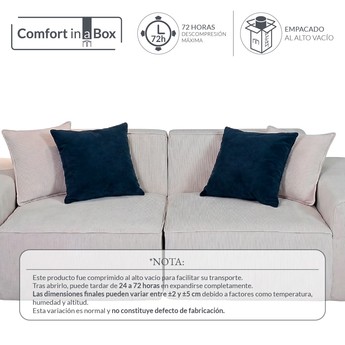 Set de 2 Cojines Anaranjado Memory Foam JCP-45B