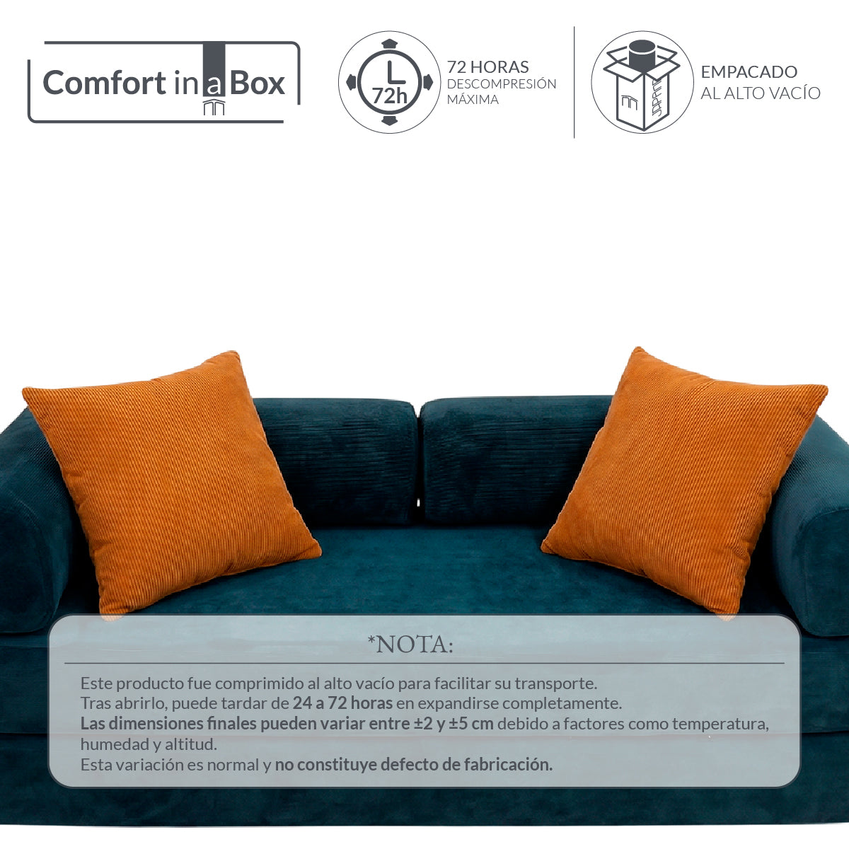 Set de 2 Cojines Anaranjado Memory Foam JCP-45O