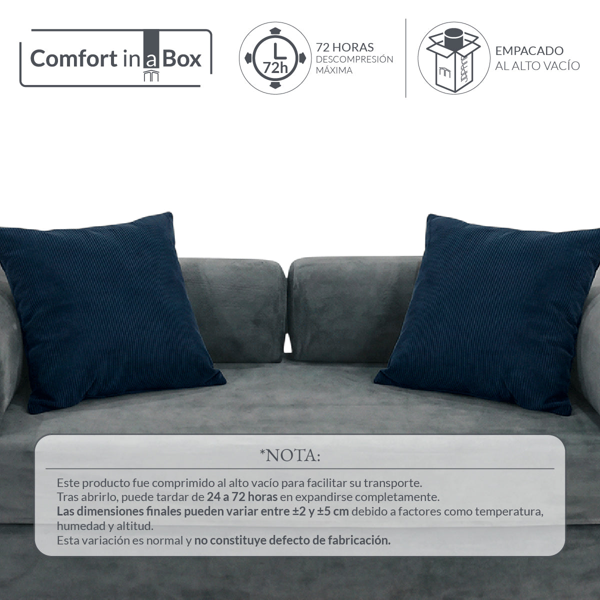 Set de 2 Cojines Anaranjado Memory Foam JCP-60B